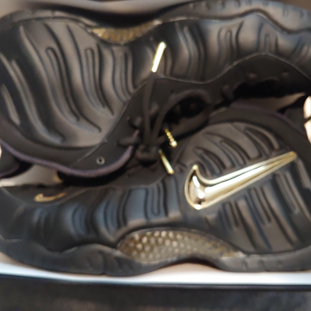 Foamposite pro